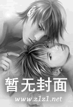争宠封面